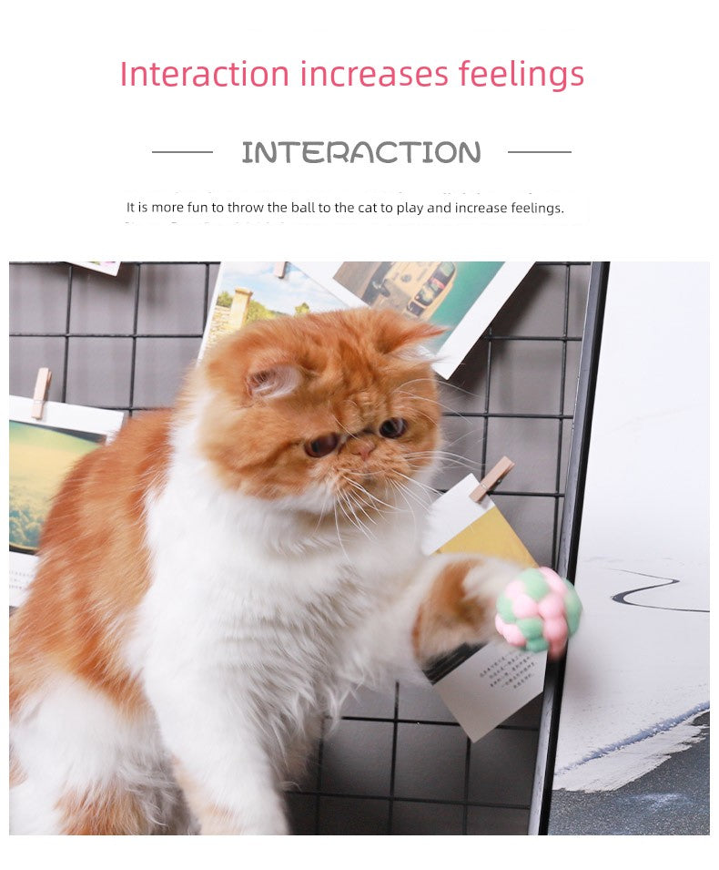 Cat Toy Ball, Kitten Molar Ball