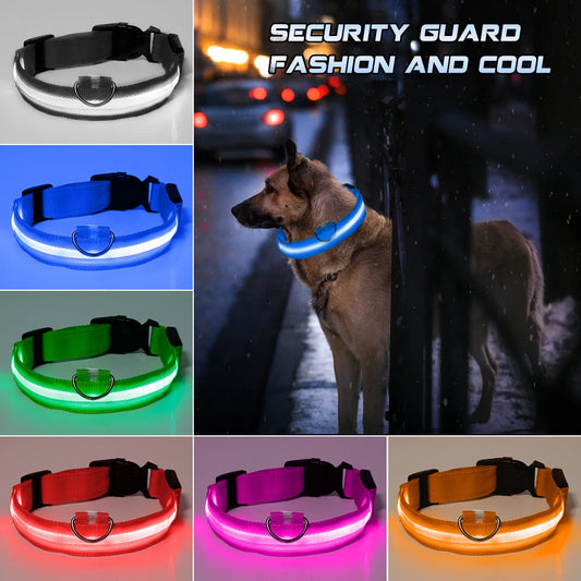 Nylon Pet Dog Collar LED Light, Night Safety Glowing, LED Dog Collar For Small Dogs LED Collars