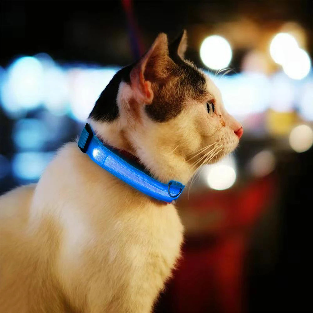 Nylon Pet Dog Collar LED Light, Night Safety Glowing, LED Dog Collar For Small Dogs LED Collars