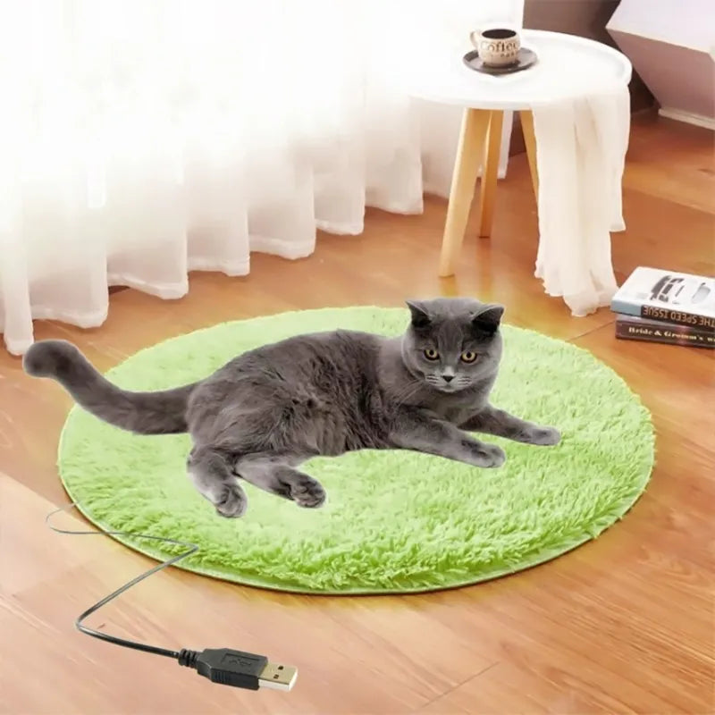 Winter Pet Electric Heating Pad Blanket Dog for CAT Electric Heating Bed Plush Mat USB Charging Sleeping Blanket For Travel