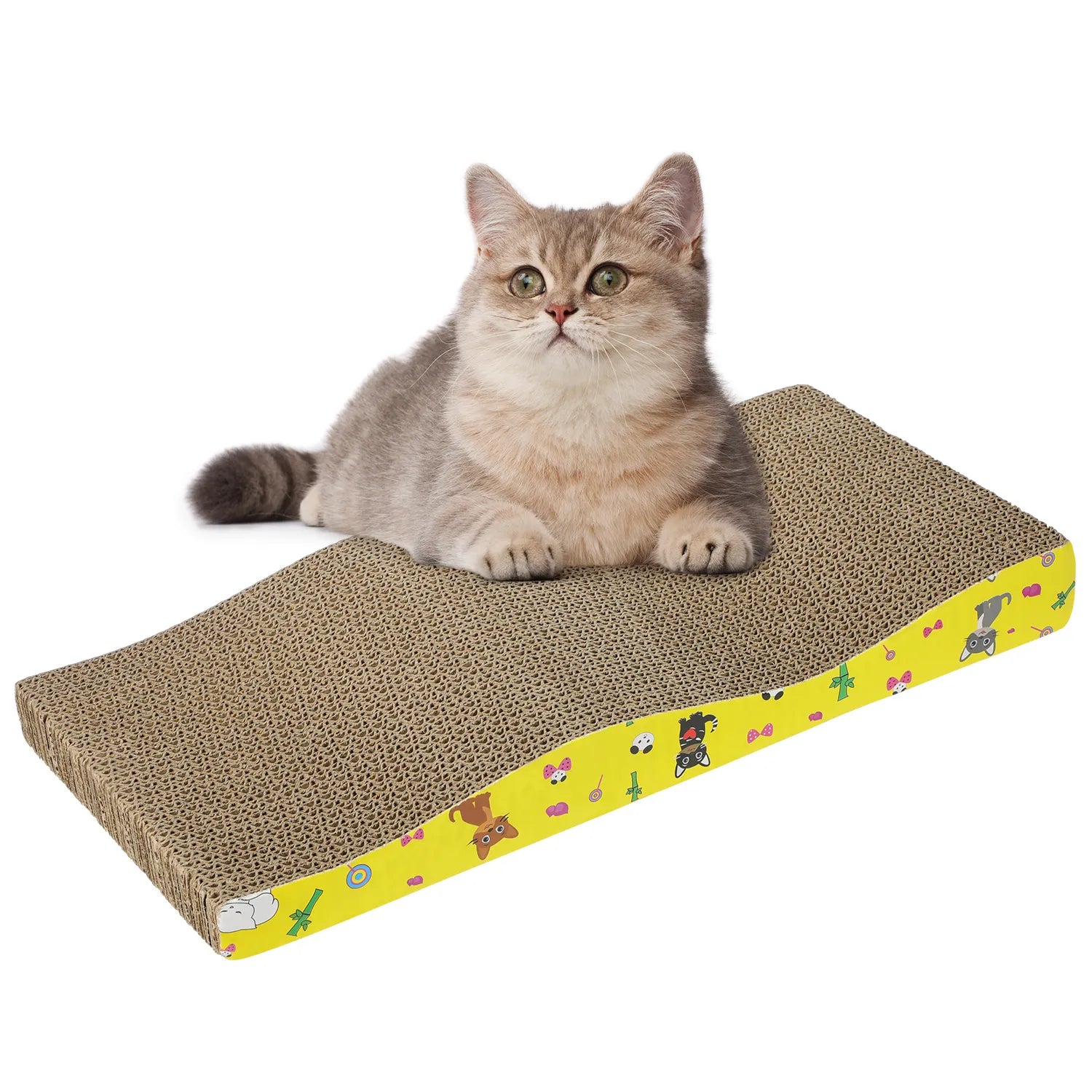 Cat Scratching Board