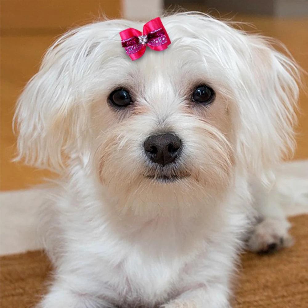 20pcs Pet Dog Cute Hair Bows with Rhinestone&Flowers Ribbon Bows Dog Hair Accessory