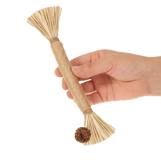 Natural Matatabi Pet Cat Snacks Sticks, Cleaning Tooth Catnip