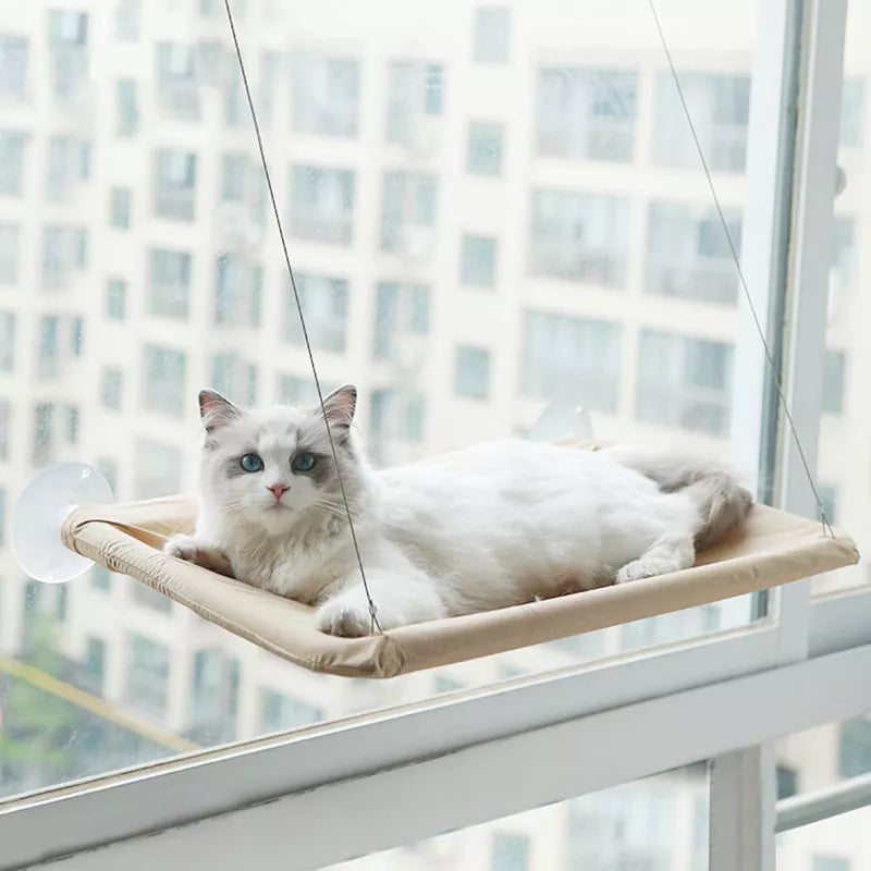 Pet Cat Hammock Hanging, Cat Bed Bearing 20Kg, Comfortable Cat Sunny Window Seat, Mount Kitten Climbing Frame